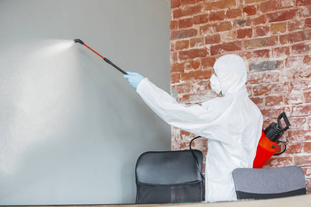 Best Environmental Consulting for Mold Prevention  in Twin Lakes, CO