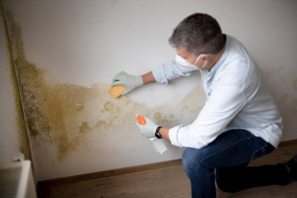 Best Forensic Mold Investigation  in Twin Lakes, CO