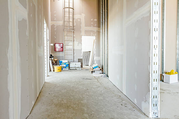 Best Mold Documentation for Insurance Claims  in Twin Lakes, CO